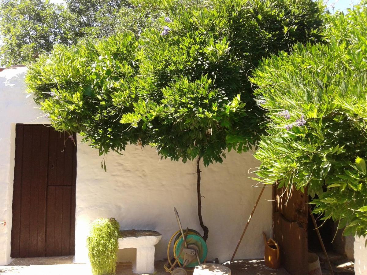 B&B Bell'Aria Monopoli Exterior foto