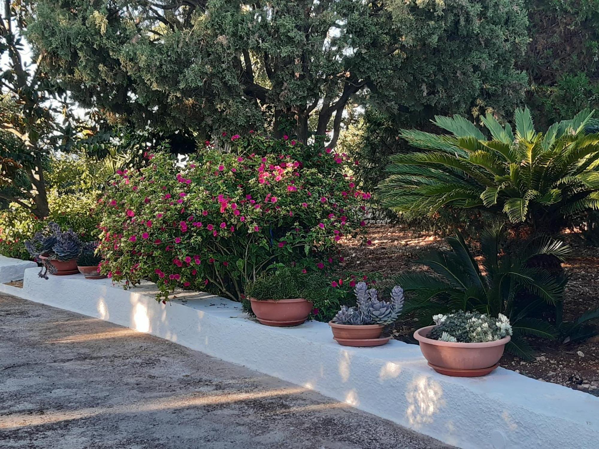 B&B Bell'Aria Monopoli Exterior foto